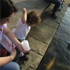 051015-Glover07-RCM-FeedingFish