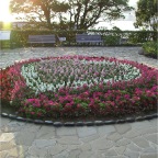 051015-Glover26-FlowerHeart