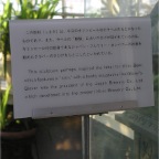 051015-Glover27-KirinPlaque