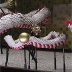 051015-Glover37-BabyDragon