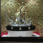 051015-Glover38-BeautifulDragon