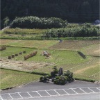 051022_EasternRiceFields