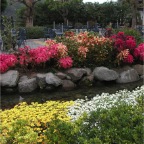 051029_Oita25-FlowerBed2