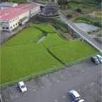 050914-SouthRiceFields