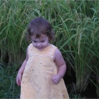 050914-EasternRiceField07-RC