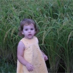 050914-EasternRiceField09-RC