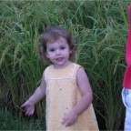 050914-EasternRiceField10-RC