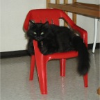 050807-MaxInRCsChair