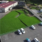 050814-EasternRiceFields