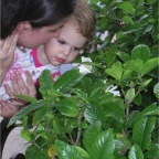 050709_TokyoDisney26-RCMelSmellGardenia