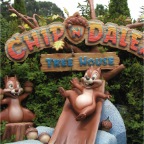 050710_TokyoDisney40-ChipNDaleTreeHouse