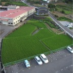 050727_SouthernRiceFields