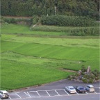 050727_EasternRiceFields