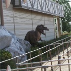 050604_GreenlandVacation37-Dinosaur