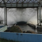 050604_GreenlandVacation49-Splash