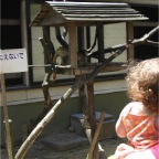 050605_GreenlandVacation64-Monkey