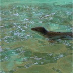 050605_GreenlandVacation65-Seal