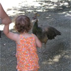 050605_GreenlandVacation79-RCTalksWithPeacock