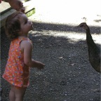 050605_GreenlandVacation80-RCTalksWithPeacock