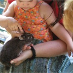 050605_GreenlandVacation89-RCWithBunny2