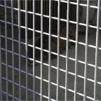 050605_GreenlandVacation95-Leopard