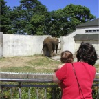 050605_GreenlandVacation97-RCMelWatchElephant