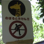 050605_GreenlandVacation101-DontClimbTheFence