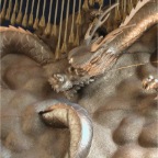 050611_FukuokaVacation07-ChineseDragon2