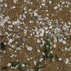 050612_FukuokaVacation19-SandAndShells