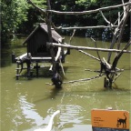 050623_NagasakiBioPark05-Monkeys