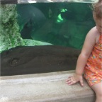 050623_NagasakiBioPark18-RCWatchesRay