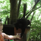 050623_NagasakiBioPark22-RCLemurs