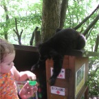 050623_NagasakiBioPark23-RCLemurs