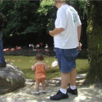 050623_NagasakiBioPark31-RCMickFlamingos