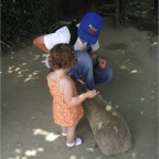 050623_NagasakiBioPark33-RCStuartKapybara