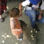 050623_NagasakiBioPark34-RCStuartKapybara