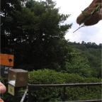 050623_NagasakiBioPark52-RCFeedingGiraffe