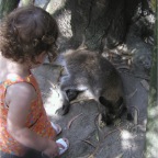 050623_NagasakiBioPark54-RCWatchesKangarooJoey