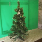 050623_NagasakiBioPark76-ButterflyCocoons