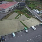 050627_SouthRiceFields