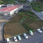 050507_EastRiceFields