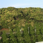 050507_NorthernMountains