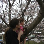 050402_IsahayaPark20-RCTSakura