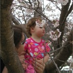 050402_IsahayaPark21-RCTSakura