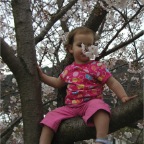 050402_IsahayaPark23-RCSakura