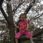 050402_IsahayaPark25-RCSakura