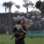 050409_IsahayaPark15-RCTSakura