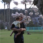 050409_IsahayaPark16-RCTSakura