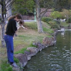 050409_IsahayaPark20-RCTFish