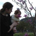 050409_IsahayaPark27-RCTSakura